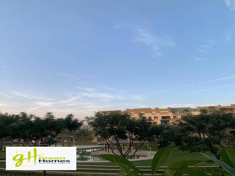 4 WhatsApp Image 2024-02-19 at 2.48. 36 PM. jpeg