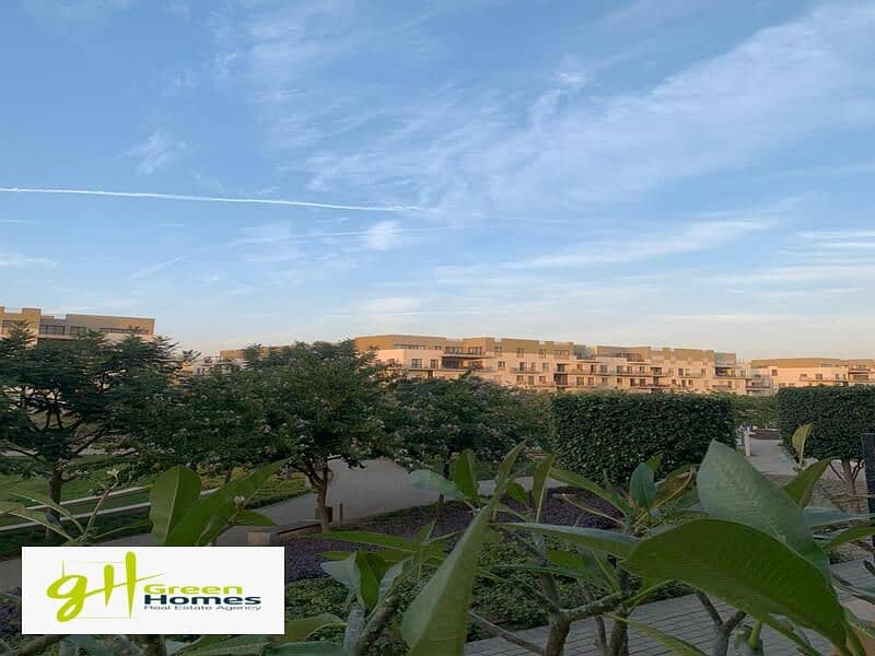 5 WhatsApp Image 2024-02-19 at 2.48. 37 PM (1). jpeg