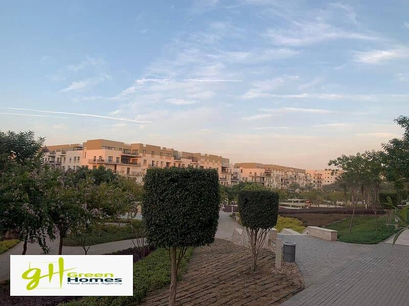 11 WhatsApp Image 2024-02-19 at 2.48. 39 PM (2). jpeg