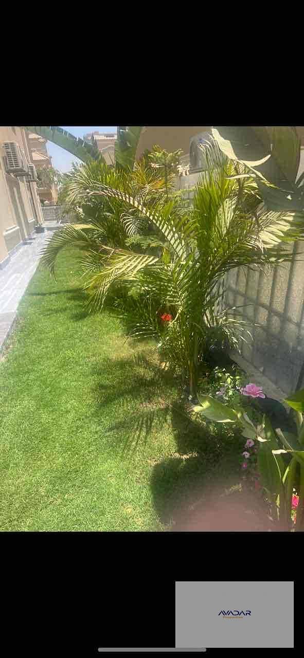 13 4b29d2f4-f5fd-45ed-a98c-939f776c29d0. jpg