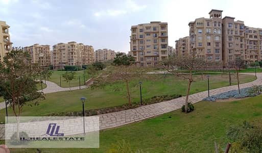 3 Bedroom Apartment for Rent in Madinaty, Cairo - WhatsApp Image 2025-11-30 at 2.19. 24 PM. jpeg