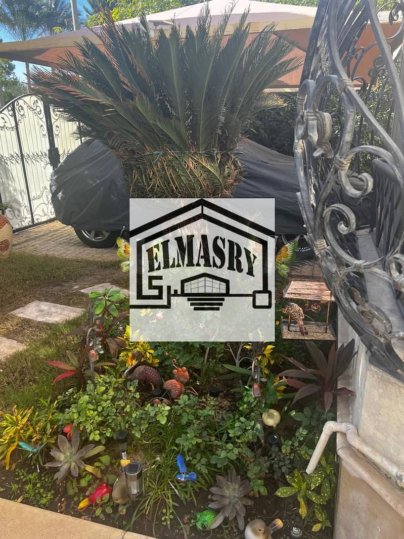 22 ea5c397f-33cd-4ebc-b122-d3ad469ea64e. jpeg