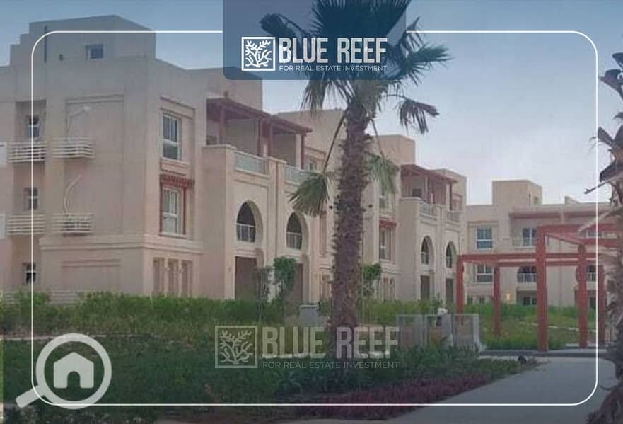 6 WhatsApp Image 2025-11-30 at 2.29. 31 PM (6). jpeg