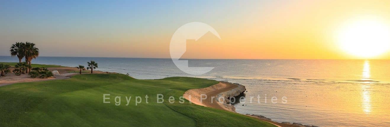 4 Screenshot_12-7-2025_141640_. jpeg