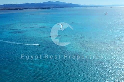 6 Screenshot_12-7-2025_134515_. jpeg