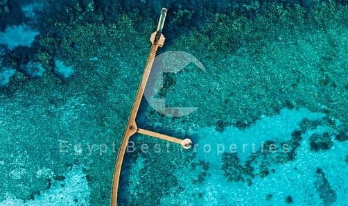 7 Screenshot_12-7-2025_134612_. jpeg