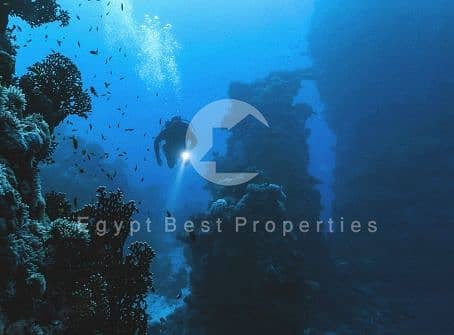 9 Screenshot_12-7-2025_134527_. jpeg