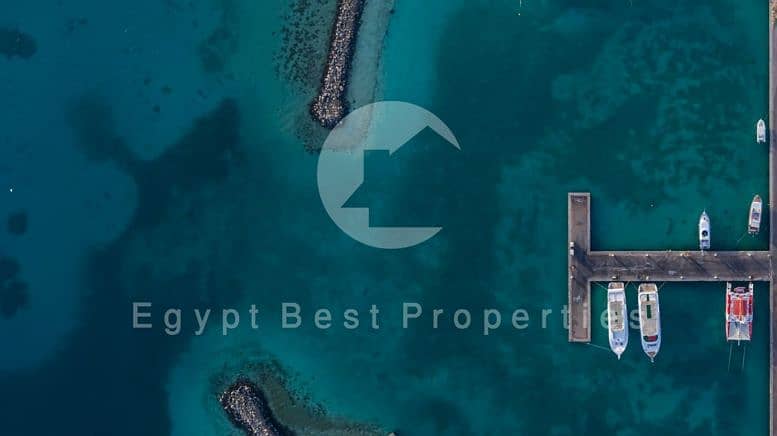 11 Screenshot_12-7-2025_141650_. jpeg