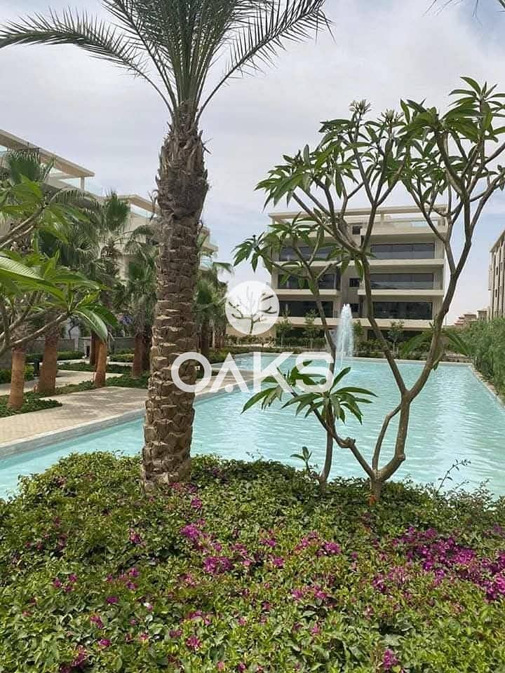 4 WhatsApp Image 2025-09-25 at 5.08. 01 PM. jpeg