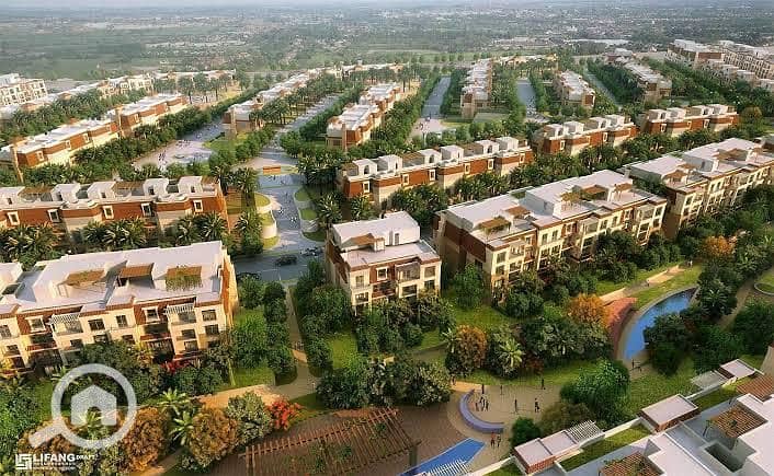 6 WhatsApp Image 2025-08-16 at 2.59. 50 AM. jpeg