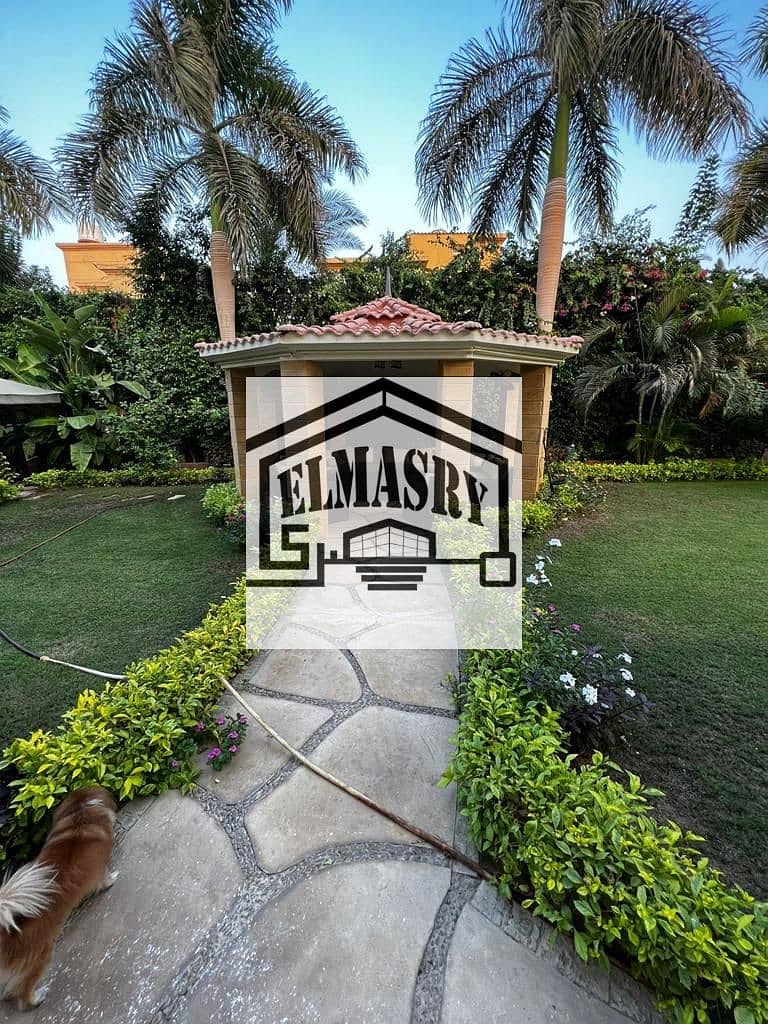 014f71c5-9bff-4664-890e-633c2eadec7f. jpg