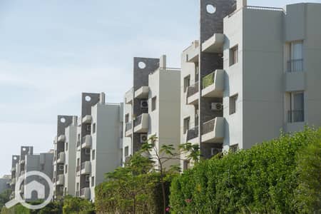 3 Bedroom Apartment for Rent in Sheikh Zayed, Giza - PHOTO-2025-01-02-12-11-31. jpg