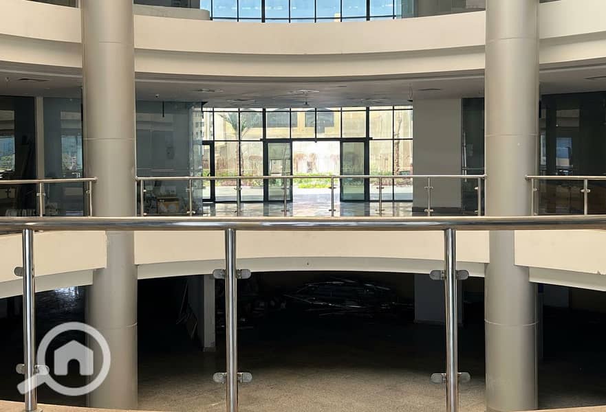 8 Generated Image September 23, 2025 - 1_55PM. png