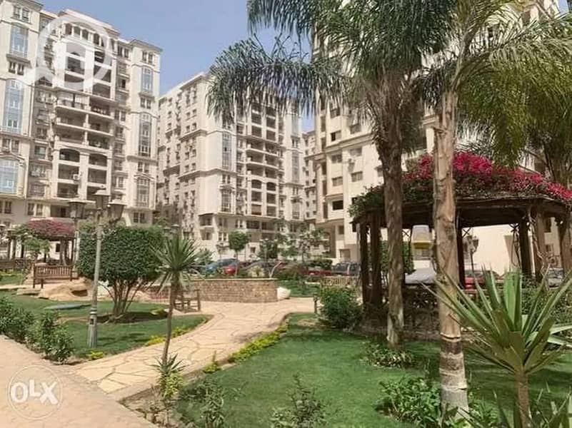 3 WhatsApp Image 2025-10-27 at 20.50. 30 (3). jpeg