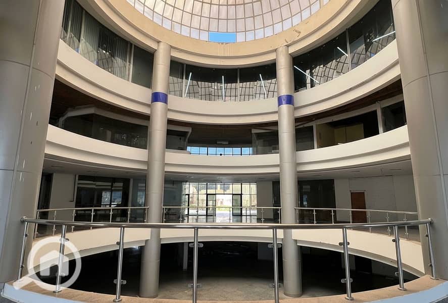 8 Generated Image September 23, 2025 - 2_06PM. png