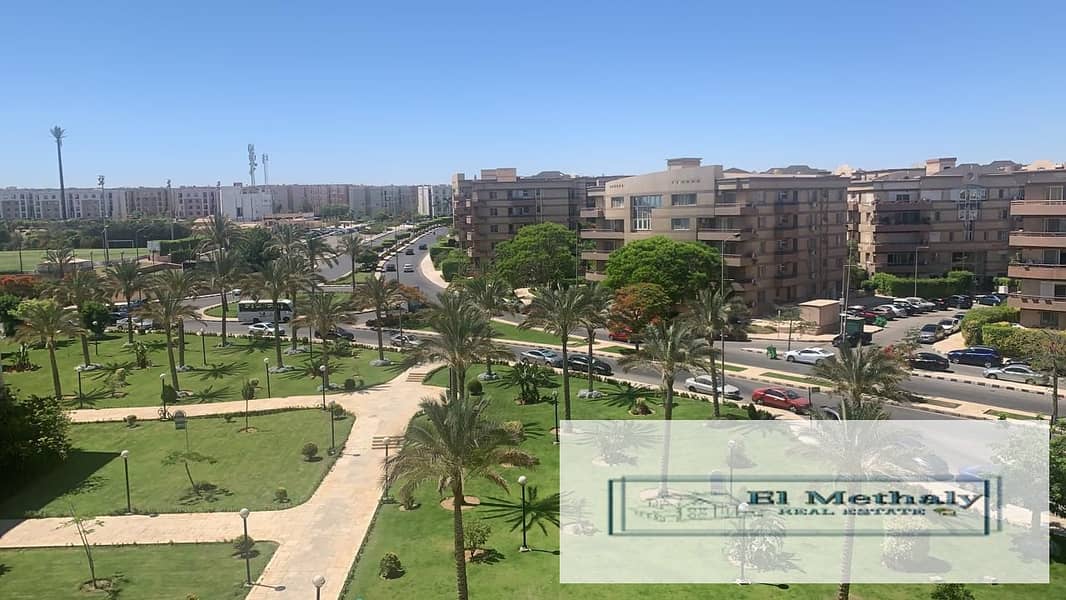 5 17a2fe2b-7913-4316-ba77-346939713e94. jpg