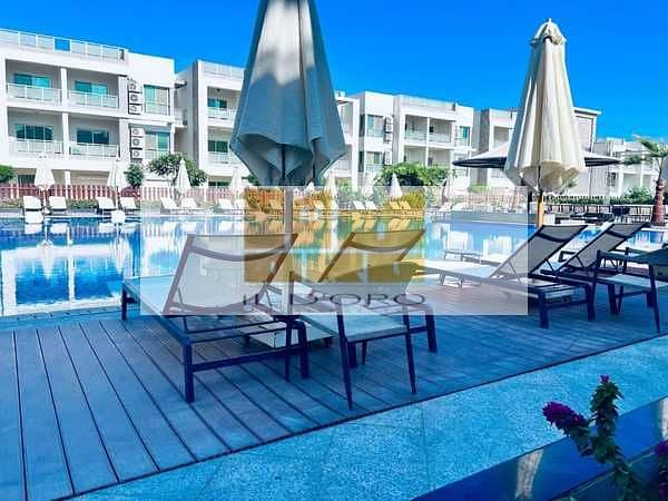 4 Lg4fWdnubg4cpxYQiPQELd40xckOWIi66IVRmXmY. jpeg