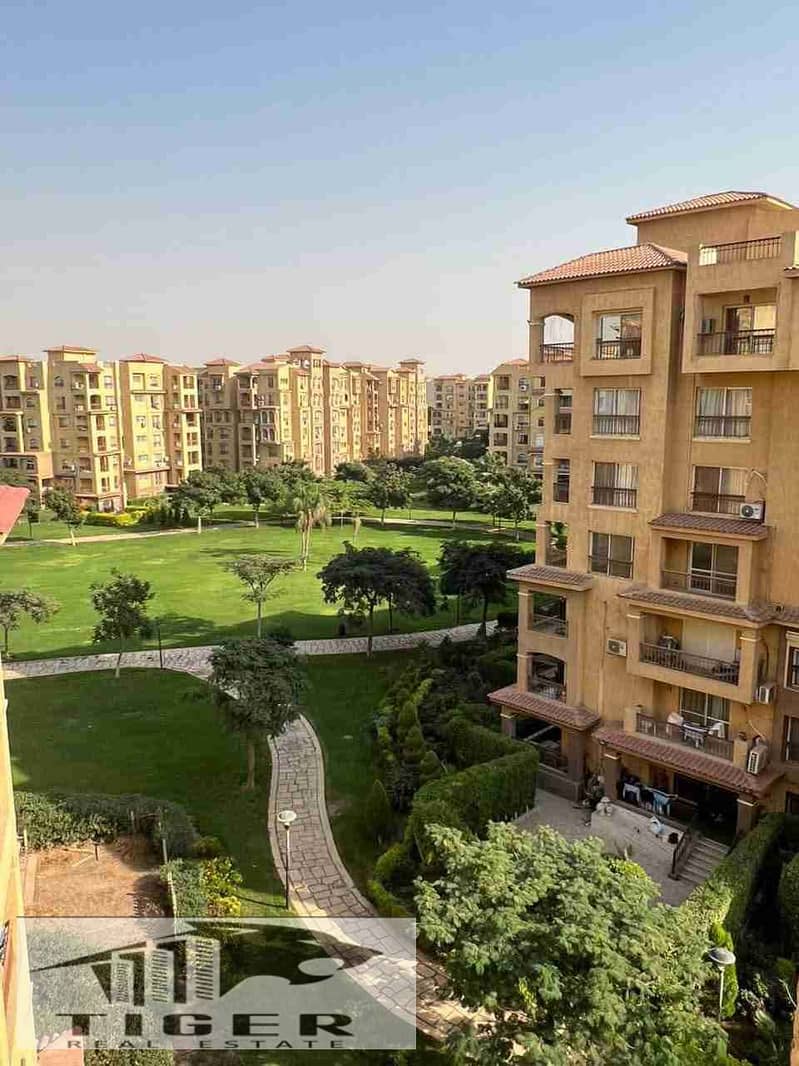 1000052455. jpg 1000052455. jpg