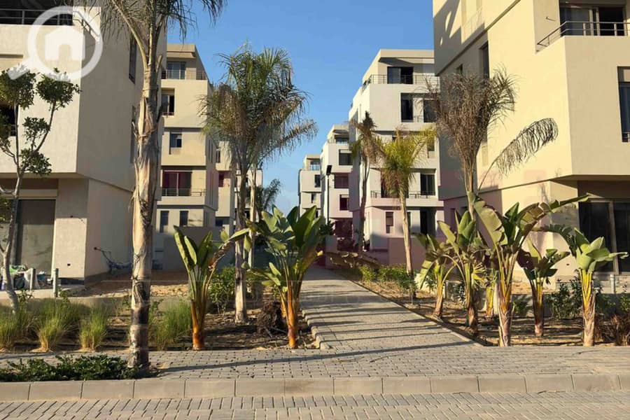 9 WhatsApp Image 2025-10-28 at 4.53. 40 PM. jpg