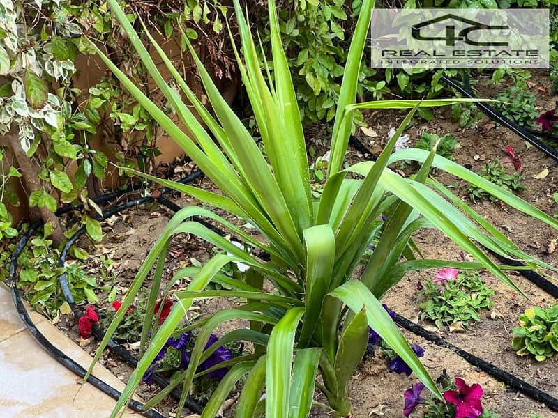 37 WhatsApp Image 2025-11-30 at 15.41. 43 (2). jpeg