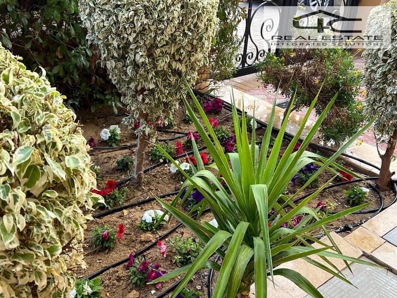 41 WhatsApp Image 2025-11-30 at 15.41. 45 (1). jpeg