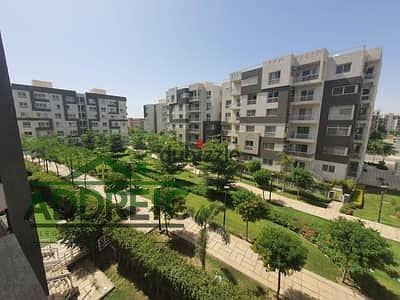 5 150829348-400x300. jpeg