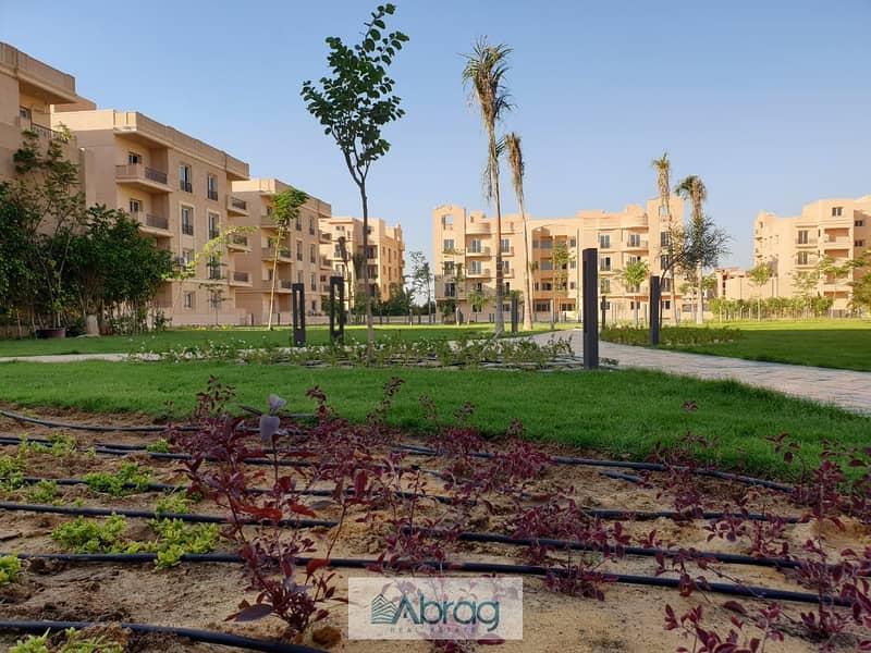 6 52e993b2-b083-45ec-8df6-f751e08ce065. jpg