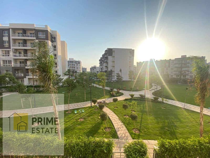 5 WhatsApp Image 2025-06-19 at 22.40. 26_f4fed9ab. jpg