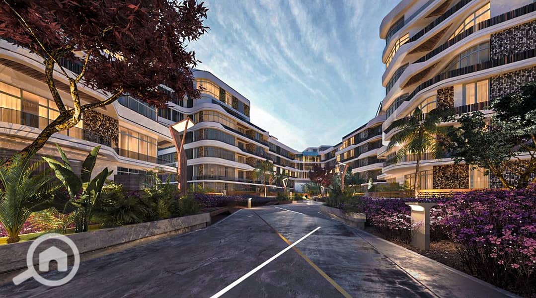 8 559de293920663.5e71444dc6d2d. jpg