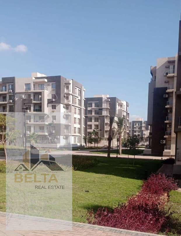 9 10466878031730705936. jpg