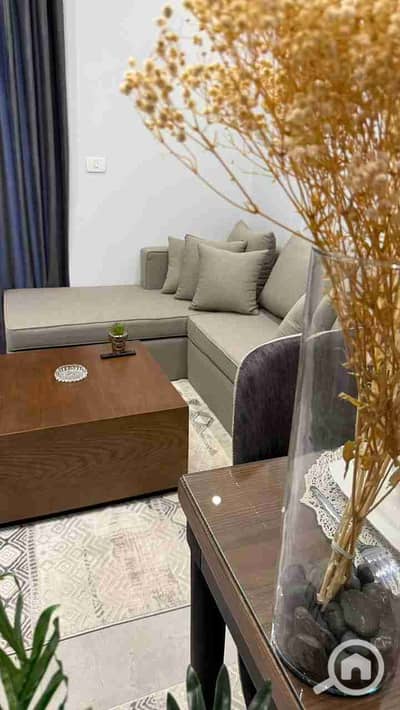 1 Bedroom Flat for Rent in Madinaty, Cairo - 1000174187. jpg 1 Bedroom Flat for Rent in Madinaty, Cairo - 1000174187. jpg