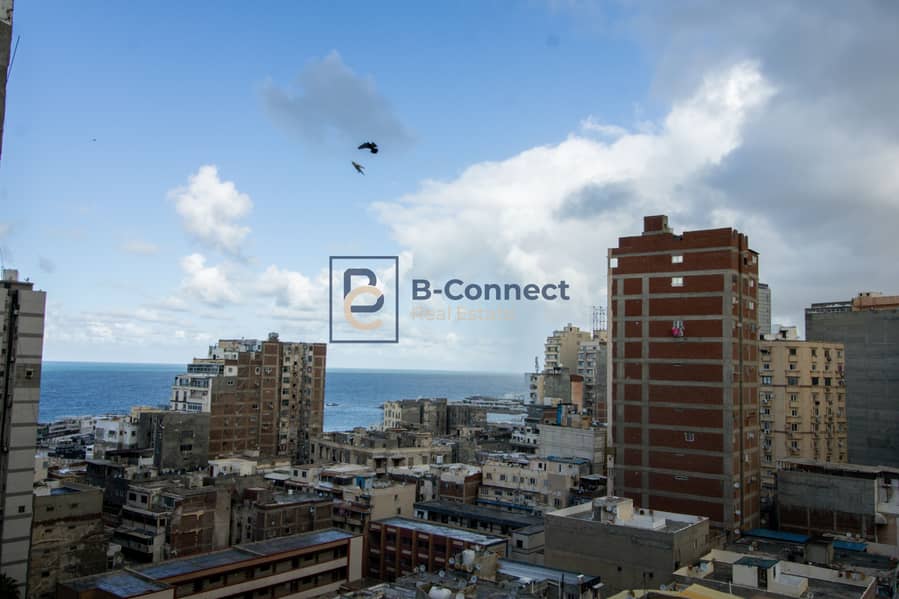 IMG_1469. jpg IMG_1469. jpg