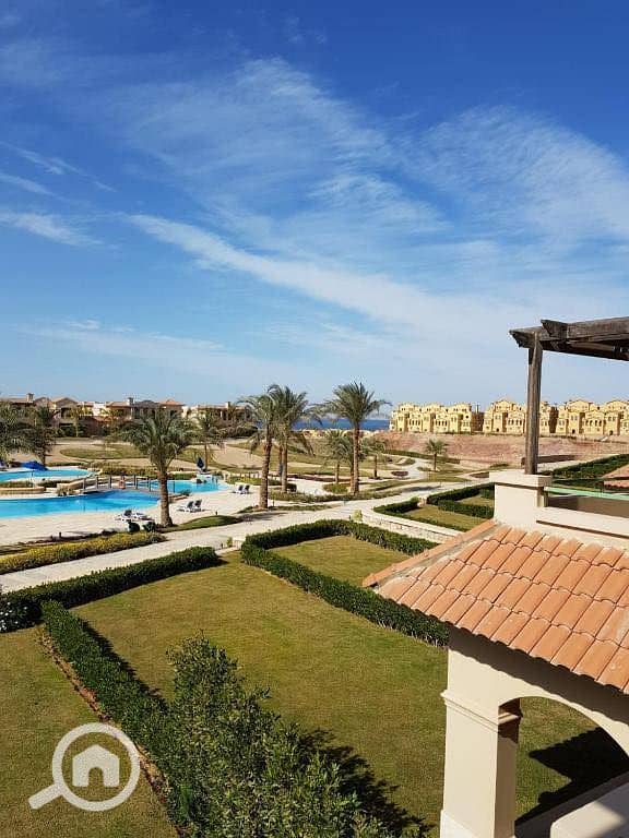 4 568457826_3342760482537931_7468165615117085059_n. jpg