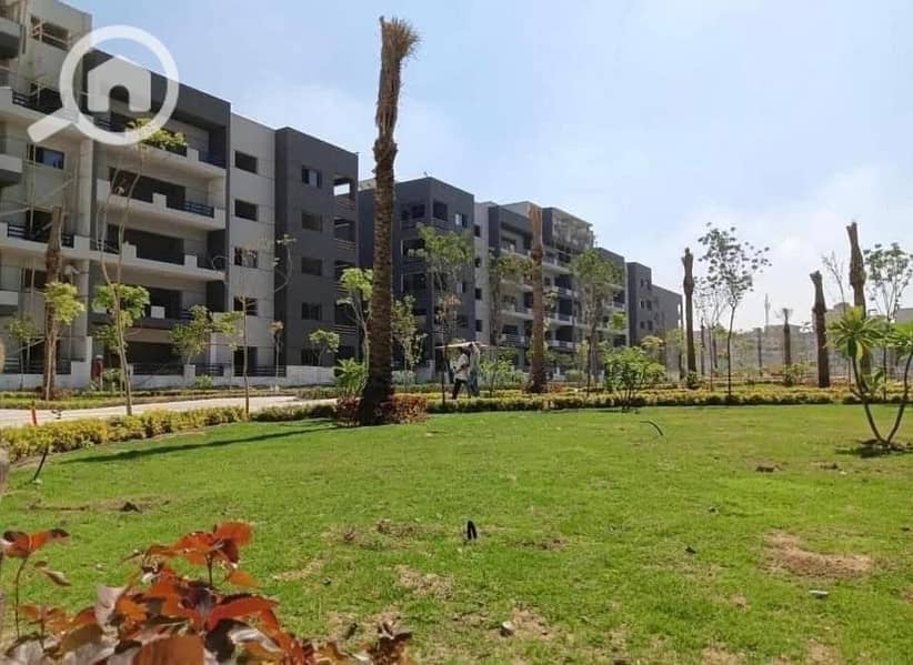 4 569422308_4051190691811195_8627315933282168856_n. jpg