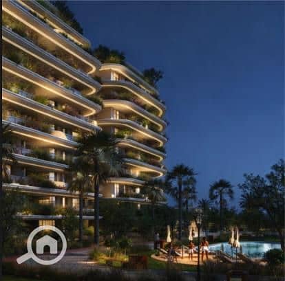 12 929c6d8d-a2fe-4374-89b4-4bf25d4756fd. jpg