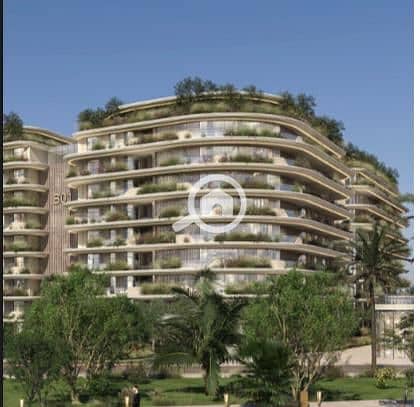 19 bb08132d-ebcb-4a2b-a747-7ed2deb5d827. jpg