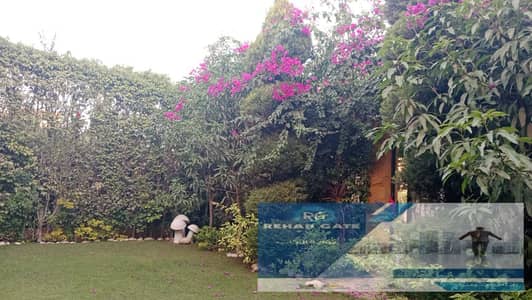 فیلا 3 غرف نوم للايجار في القاهرة الجديدة، القاهرة - 1b46bdba-ded0-48fd-ad1b-84598dc20a6e. jpg