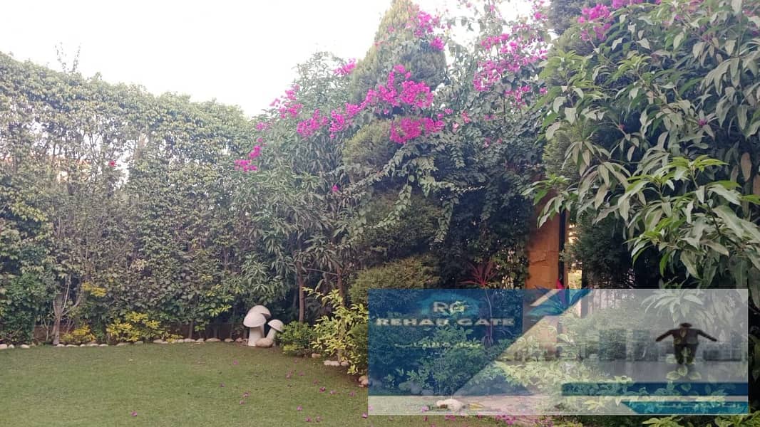 1b46bdba-ded0-48fd-ad1b-84598dc20a6e. jpg 1b46bdba-ded0-48fd-ad1b-84598dc20a6e. jpg