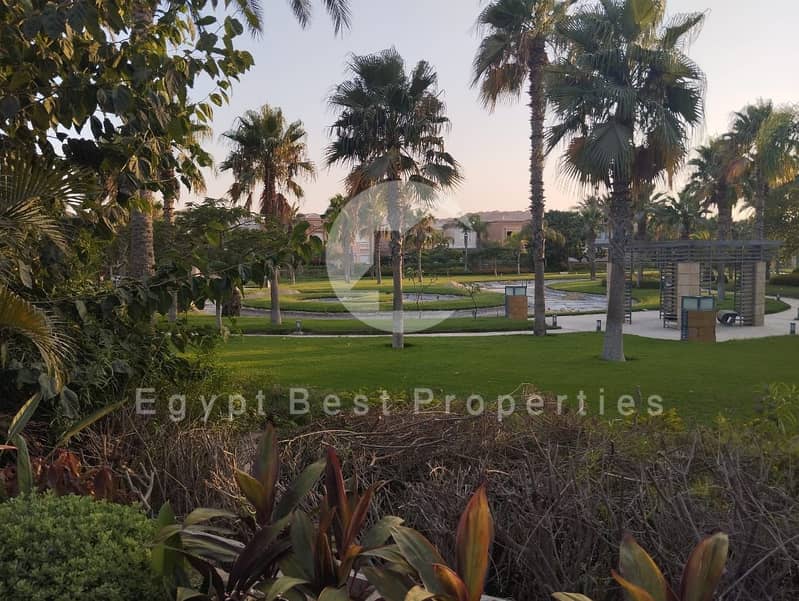 5 32d5031d-7ff1-4869-85e2-0dc1aba45e87. jpeg