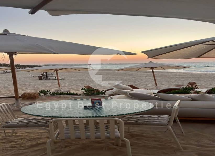 4 3657e4b3-86c5-4f7f-9191-081b04c4938b. jpeg