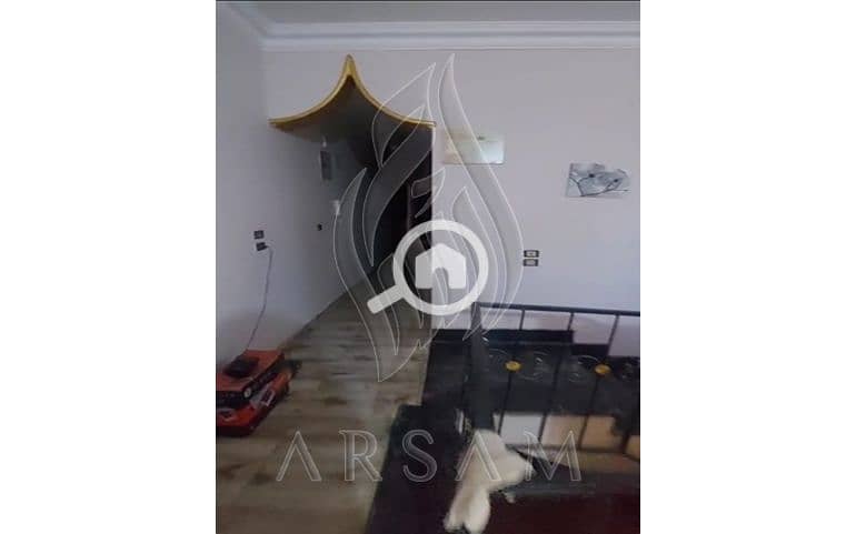 3 WhatsApp Image 2025-09-07 at 3.50. 24 PM (1). JPG