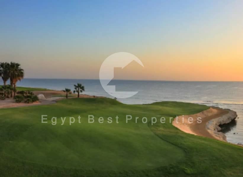 4 40d9fb33-8059-4006-adfb-77cca8fbb33a. jpeg