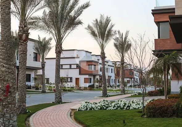 5 480978301_938638178472503_3308809696996814154_n. jpg