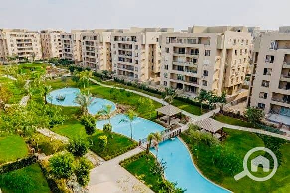 11 IMG_3744 (6). jpg