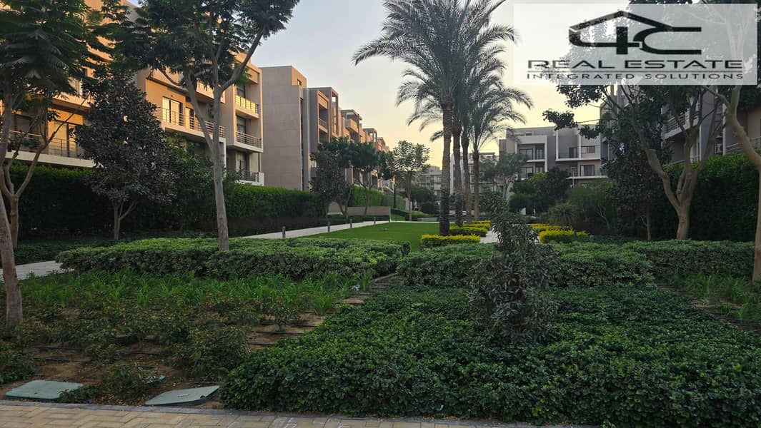 10 20251117_161448. jpg