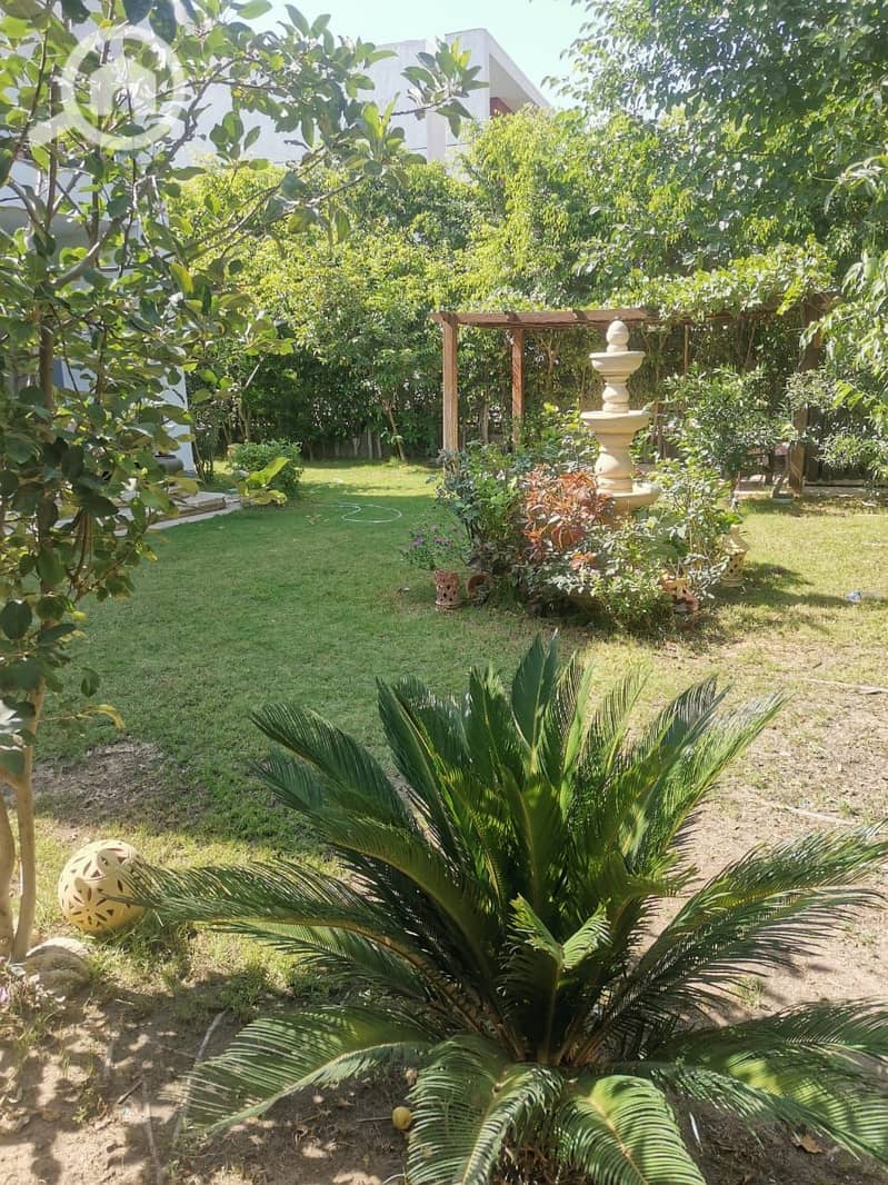 7 289121b6-09a3-473b-a81e-8ace3cc5b1b4. jpg