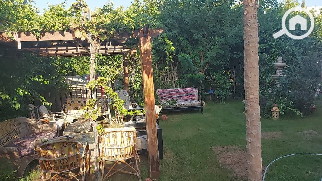 11 d23ecf29-e163-4553-9c0c-600d2d282c7f. jpg