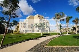 5 download (1). jpeg