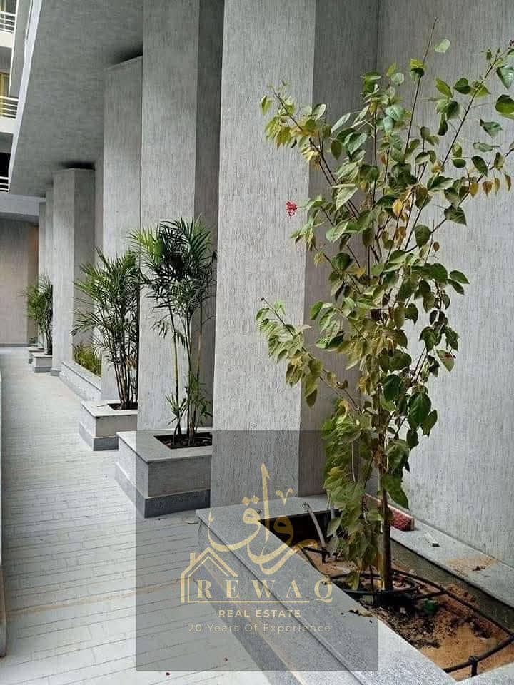 7 WhatsApp Image 2025-05-31 at 12.41. 49 AM (5). jpeg