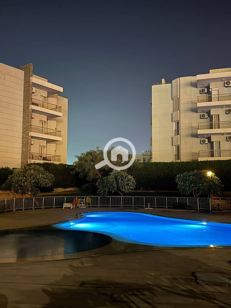 12 7ab5a441-bc55-4de4-8943-e07d847a90b7. jpeg